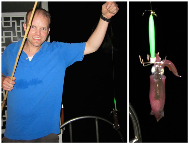 Go squid fishing at night halong